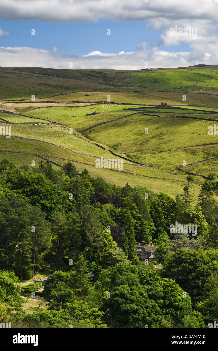 Parcevall Hall Gardens eingebettet in Bäume (Wälder, steile Hänge, sanfte Weiden, blauer Himmel) - Skyreholme, Yorkshire Dales, England Großbritannien. Stockfoto