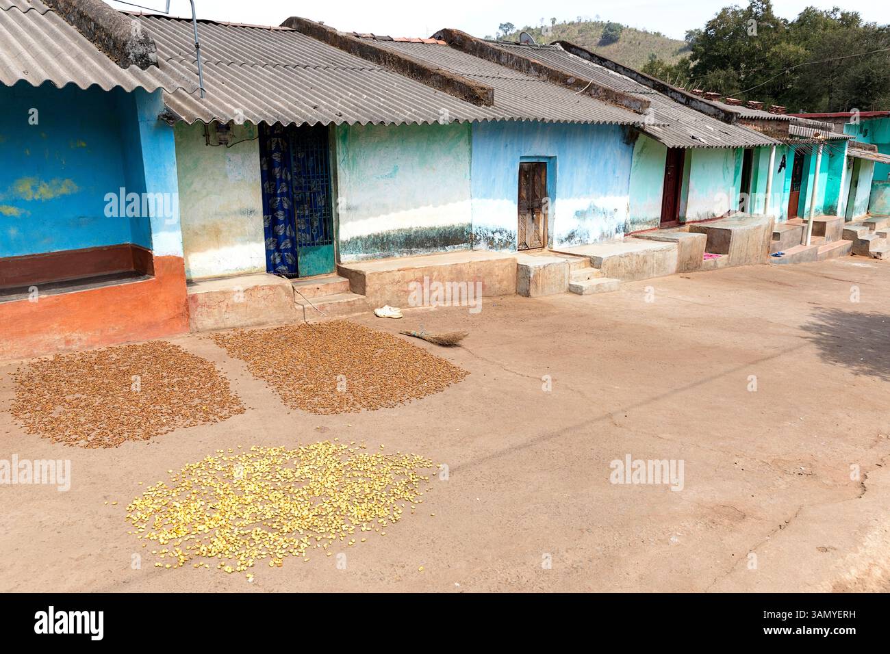 Kleines traditionelles farbenfrohes Dorf in einem abgelegenen Teil von Orissa in Indien, farbenfrohe Betonhäuser an der Hauptstraße mit trocknendem Obst auf der Straße Stockfoto