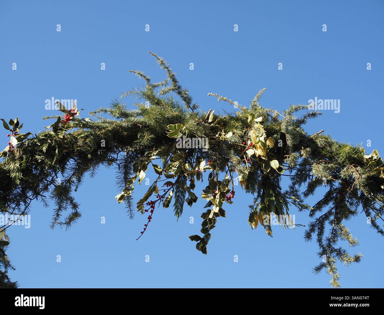 weihnachtsdekoration mit stechpalmenblättern Stockfoto