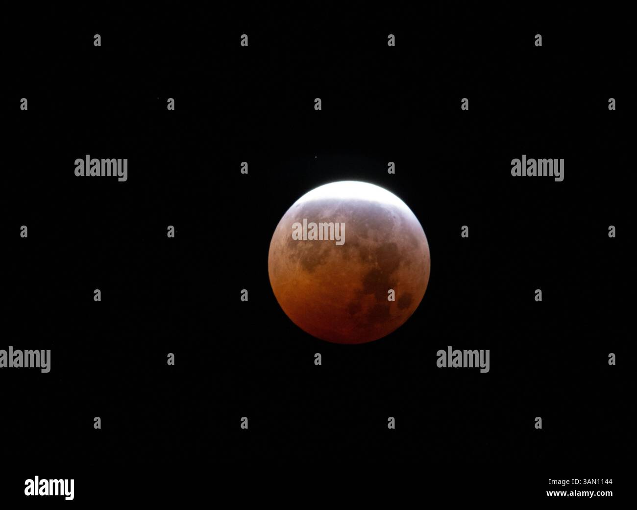 Totale Mondfinsternis des Roten Mondes mit schwarzem Hintergrund Stockfoto