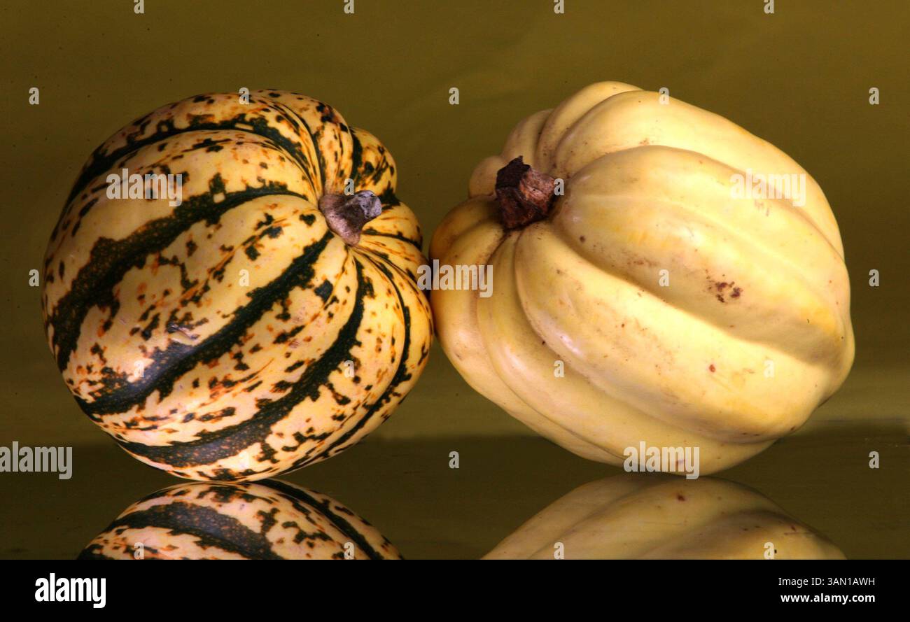 November 2006 - USA - Ein süßer Knödel-Kürbis und ein weißer Eichelkürbis. (Karen Elshout/St. Louis Post-Dispatch/MCT) (Kreditbild: © Karen Elshout/mct/ZUMAPRESS.com) Stockfoto