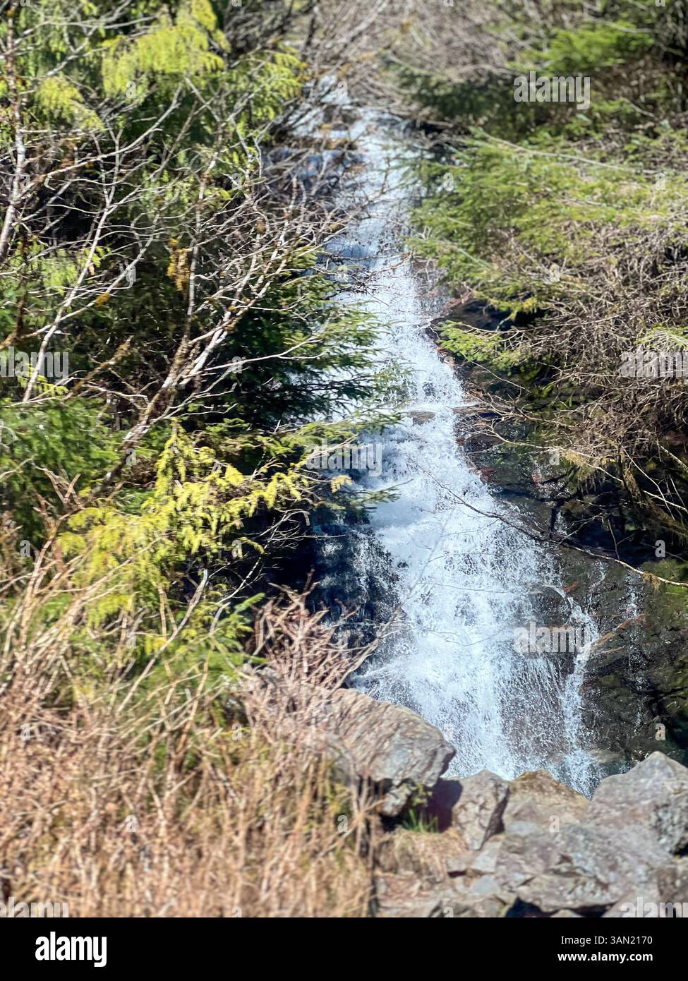 Ein abgeschiedener Wasserfall rauscht durch den Wald, umgeben von üppigem Grün und zerklüfteten Felsen. Das perfekte versteckte Juwel für Naturliebhaber und Entdecker. - Smartphone-aufgenommenes Stockfoto