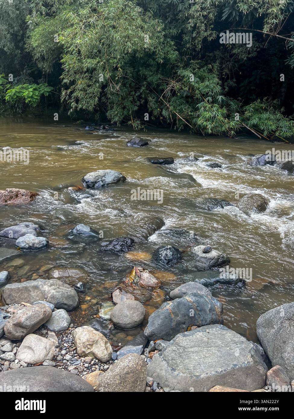 Ein sich schnell bewegender Fluss fließt über glatte Felsen in einem üppigen tropischen Regenwald, umgeben von dichtem Grün. Eine perfekte Szene mit unberührtem natürlichem bea Stockfoto