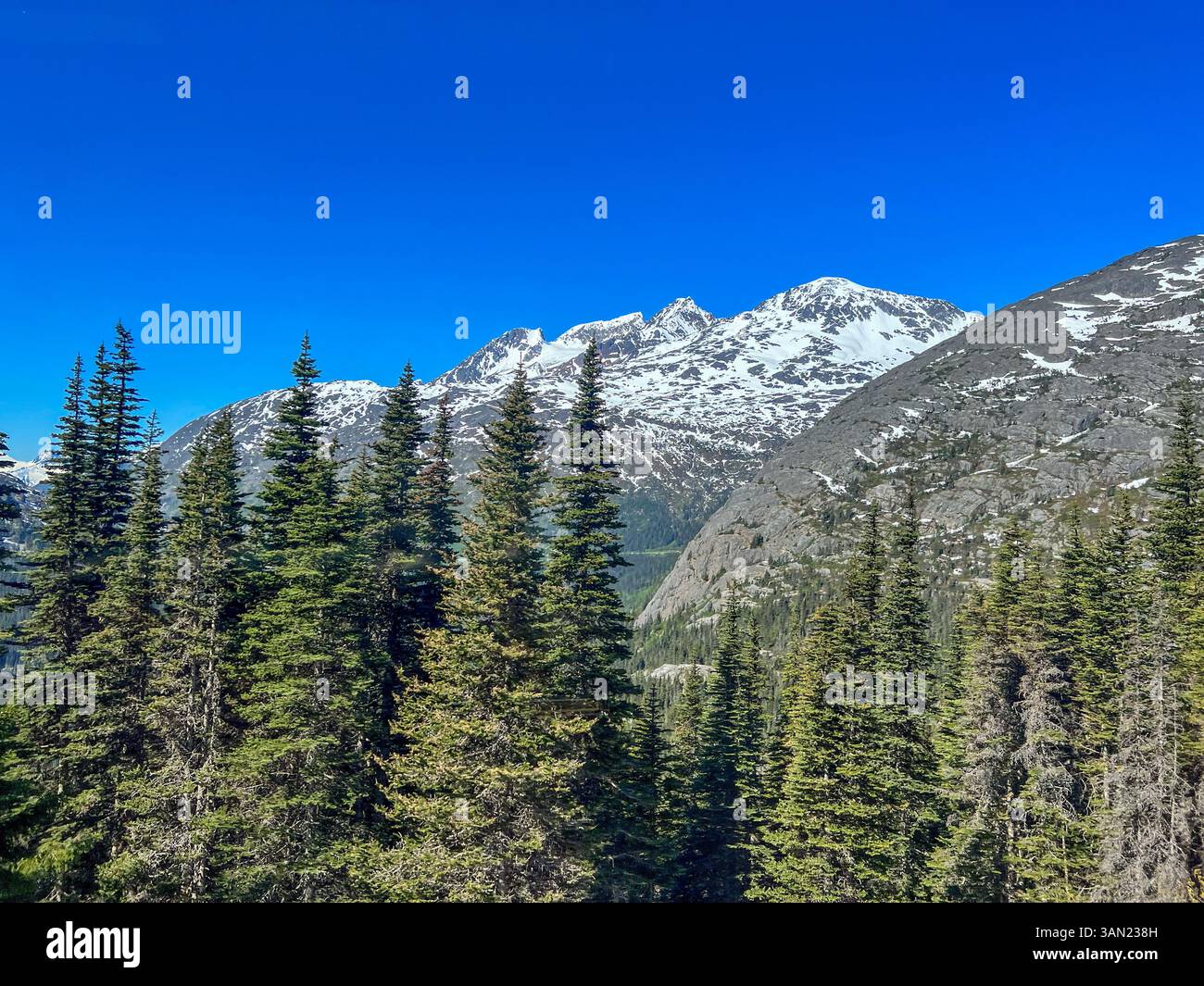 Ein atemberaubender Blick auf die schneebedeckten Berge und dichten immergrünen Wälder von White Pass, Alaska. Der Kontrast zwischen den zerklüfteten Felsformationen, l - Smartphone-aufgenommenes Stockfoto