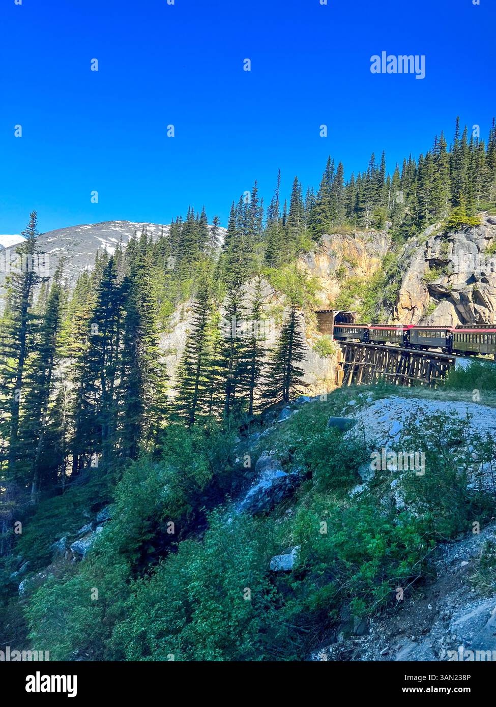 Eine malerische Zugfahrt durch den White Pass, Alaska, während er eine historische Holzbrücke überquert. Umgeben von majestätischen immergrünen Bäumen und zerklüfteten m - Smartphone-aufgenommenes Stockfoto
