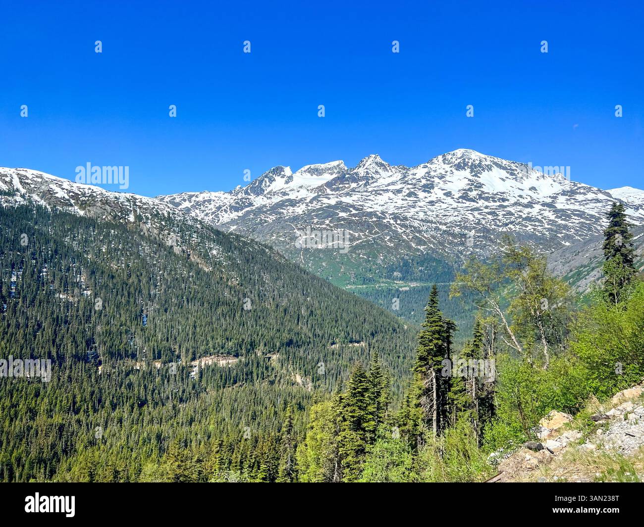 Ein atemberaubender Blick auf die schneebedeckten Gipfel und üppigen immergrünen Wälder von White Pass, Alaska. Diese zerklüftete Landschaft bietet einen unvergesslichen Blick - Smartphone-aufgenommenes Stockfoto