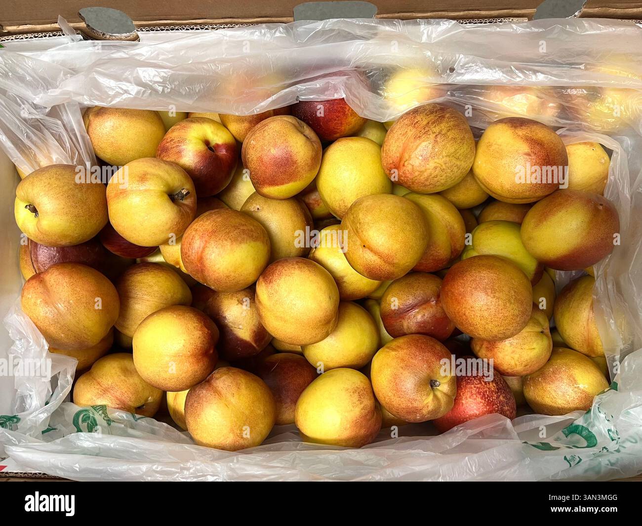 Blick von oben auf reife Nektarinen zum Verkauf auf dem Obstmarkt, frisches Steinobst Arrangement, Aprikosen, Shopping, Konsum, Obst Export Stockfoto
