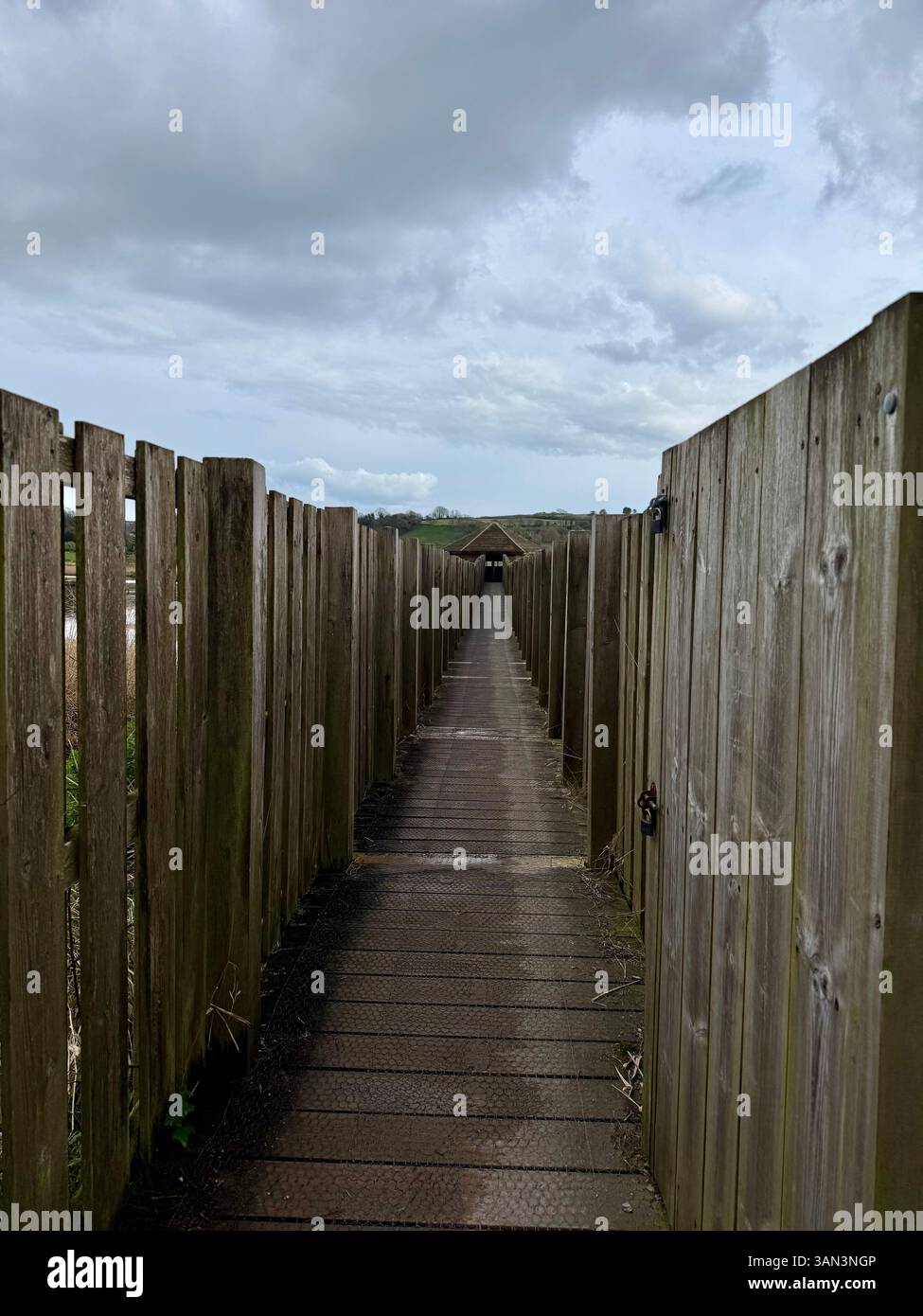 Seaton Wetlands, Seaton, Devon: Vogelhäute, Vogelbeobachtung, Feuchtgebiete - Smartphone-aufgenommenes Stockfoto