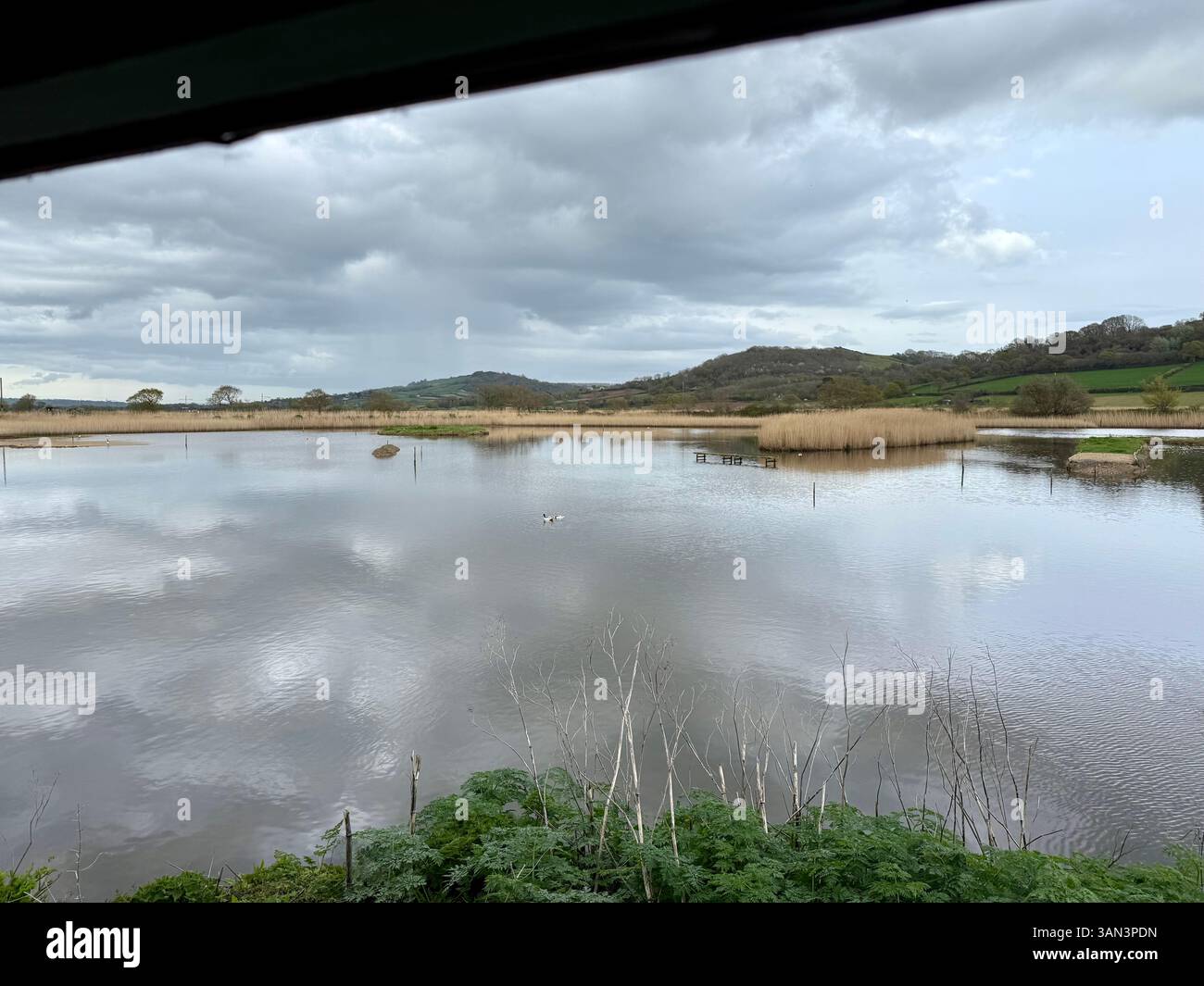 Seaton Wetlands, Seaton, Devon: Vogelhäute, Vogelbeobachtung, Feuchtgebiete - Smartphone-aufgenommenes Stockfoto