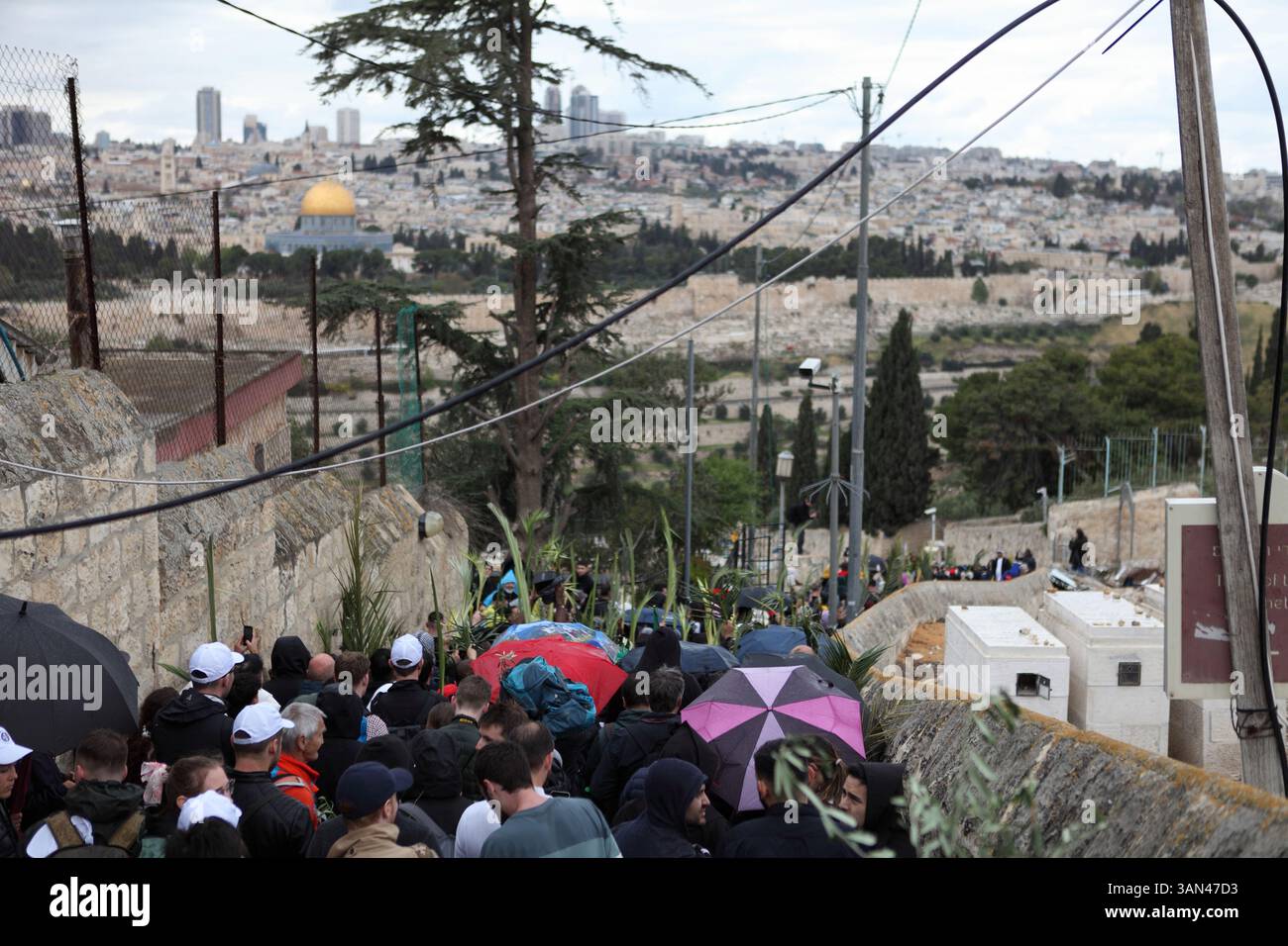 Christliche Pilger gehen vom Mt. Oliven in einer Palmensonntagsprozession mit Palmenwedel und Olivenbaumzweigen die Kuppel des Felsens gesehen. Stockfoto