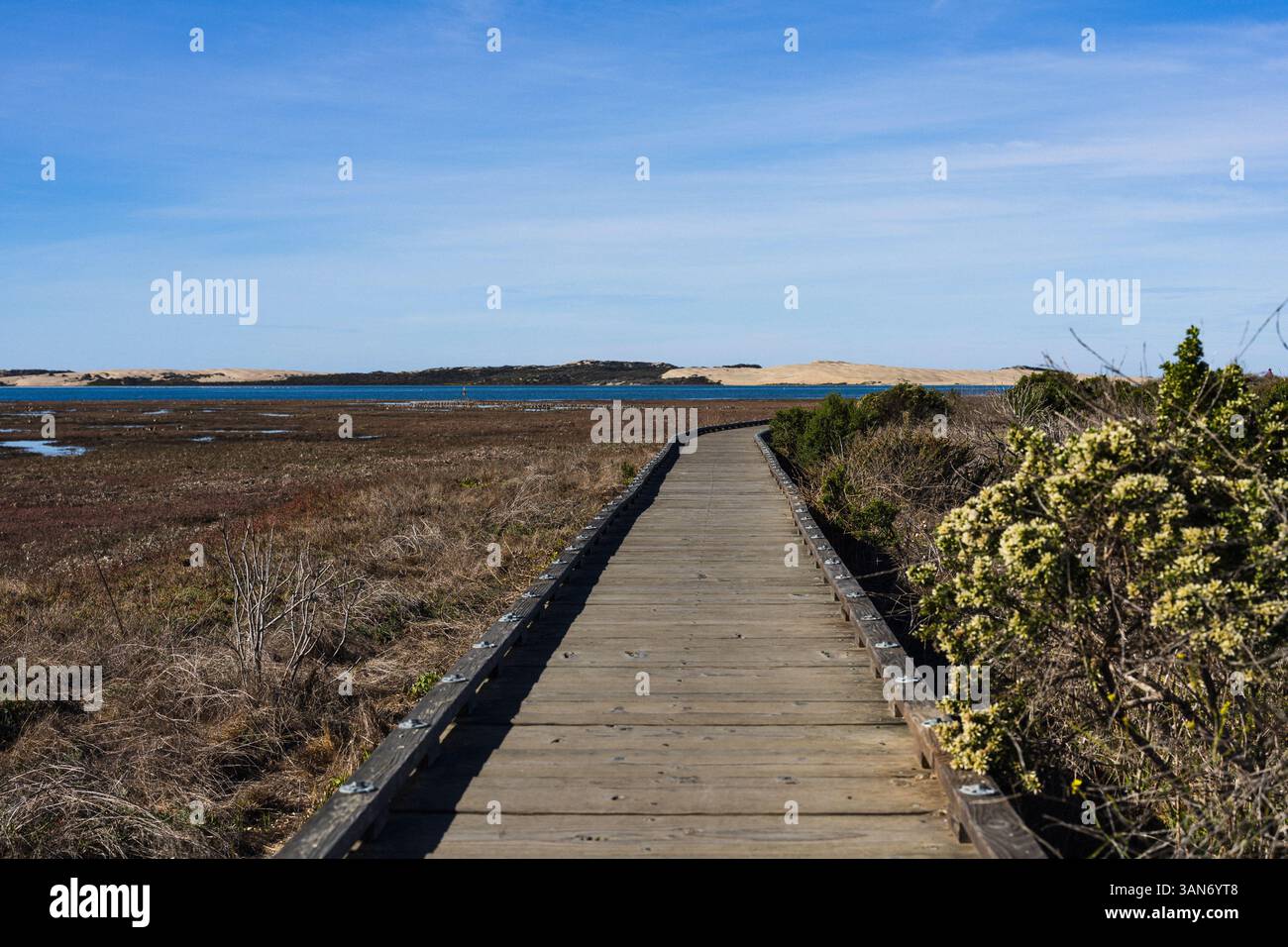 Morro Bay State Park Boardwalk Stockfoto