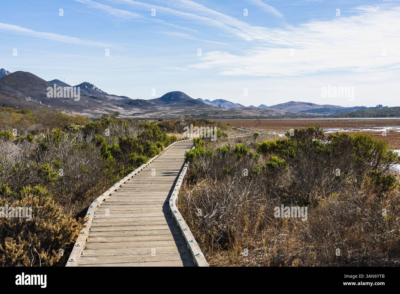 Morro Bay State Park Boardwalk Stockfoto