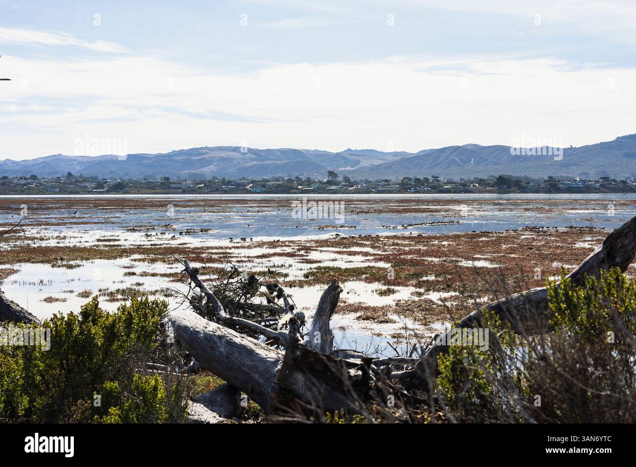 Morro Bay State Park Boardwalk Stockfoto