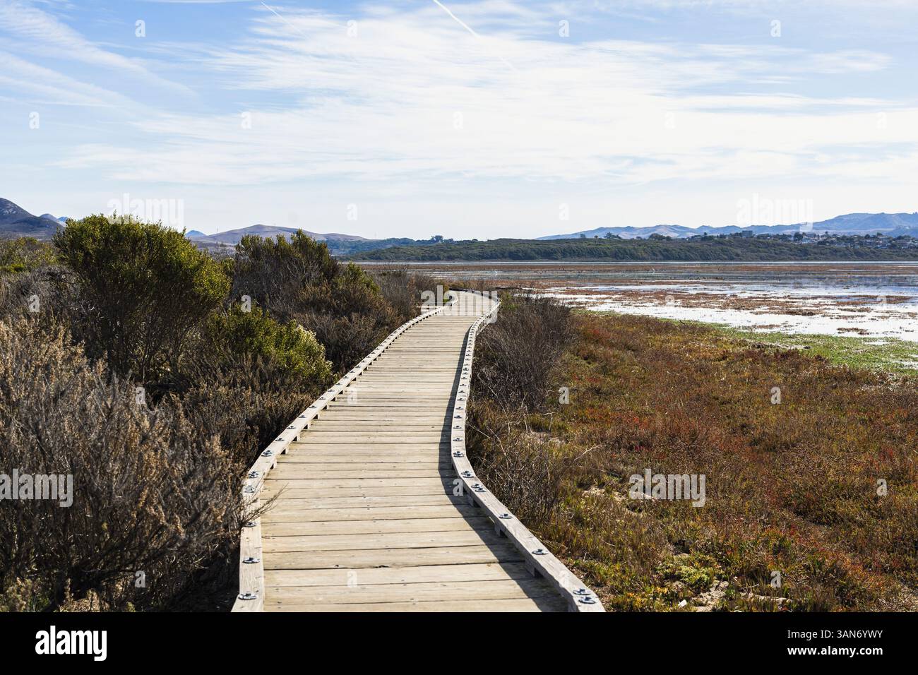 Morro Bay State Park Boardwalk Stockfoto