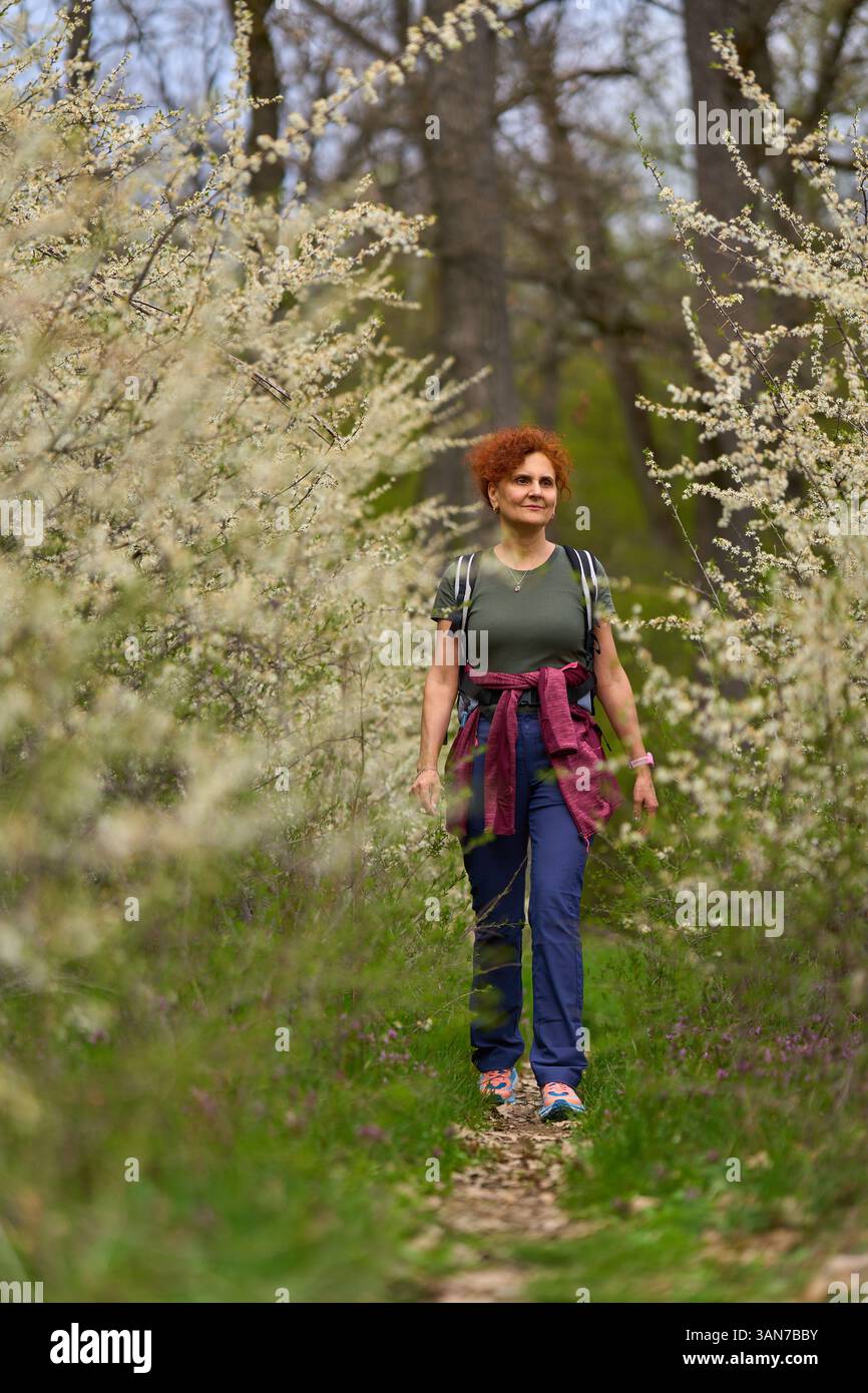 Rothaarige Frau, die im Frühjahr auf einem schmalen Weg durch dichte blühende Schrotdornbüsche läuft Stockfoto