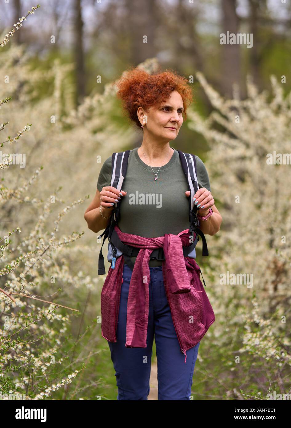 Rothaarige Frau, die im Frühjahr auf einem schmalen Weg durch dichte blühende Schrotdornbüsche läuft Stockfoto