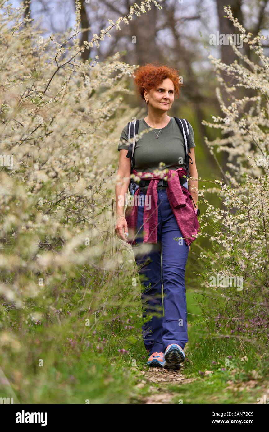 Rothaarige Frau, die im Frühjahr auf einem schmalen Weg durch dichte blühende Schrotdornbüsche läuft Stockfoto