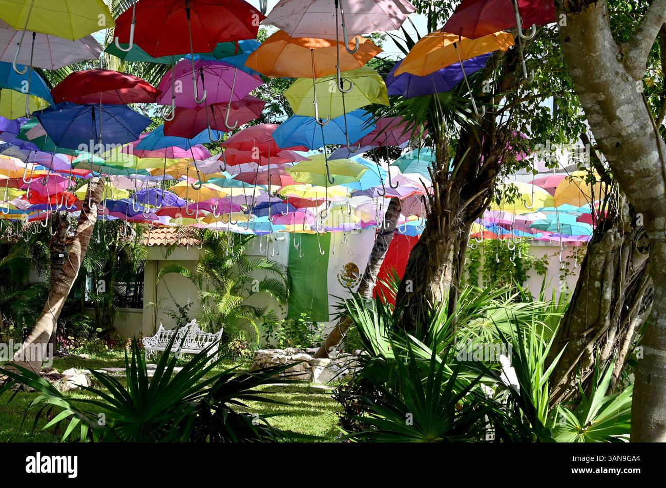 PUERTO AVENTURAS, QUINTANA ROO, MEXIKO: Ein friedlicher, tropischer, schattiger Innenhof, der von einem Baldachin aus bunten Regenschirmen geschützt ist Stockfoto