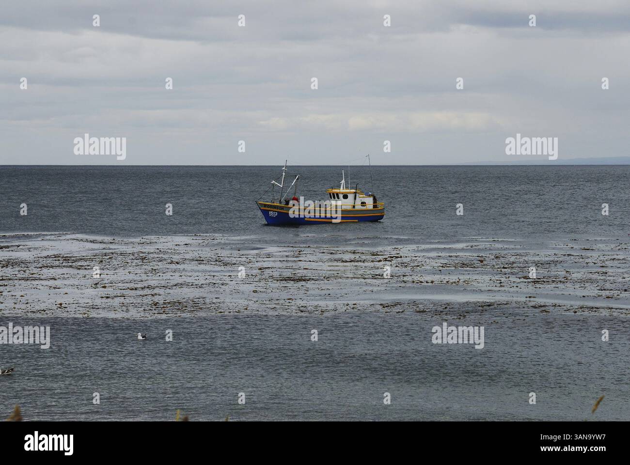 Fischerboot, in der Nähe, Region de Magallanes y de la Antartica Chilena, Chile, Südamerika Stockfoto