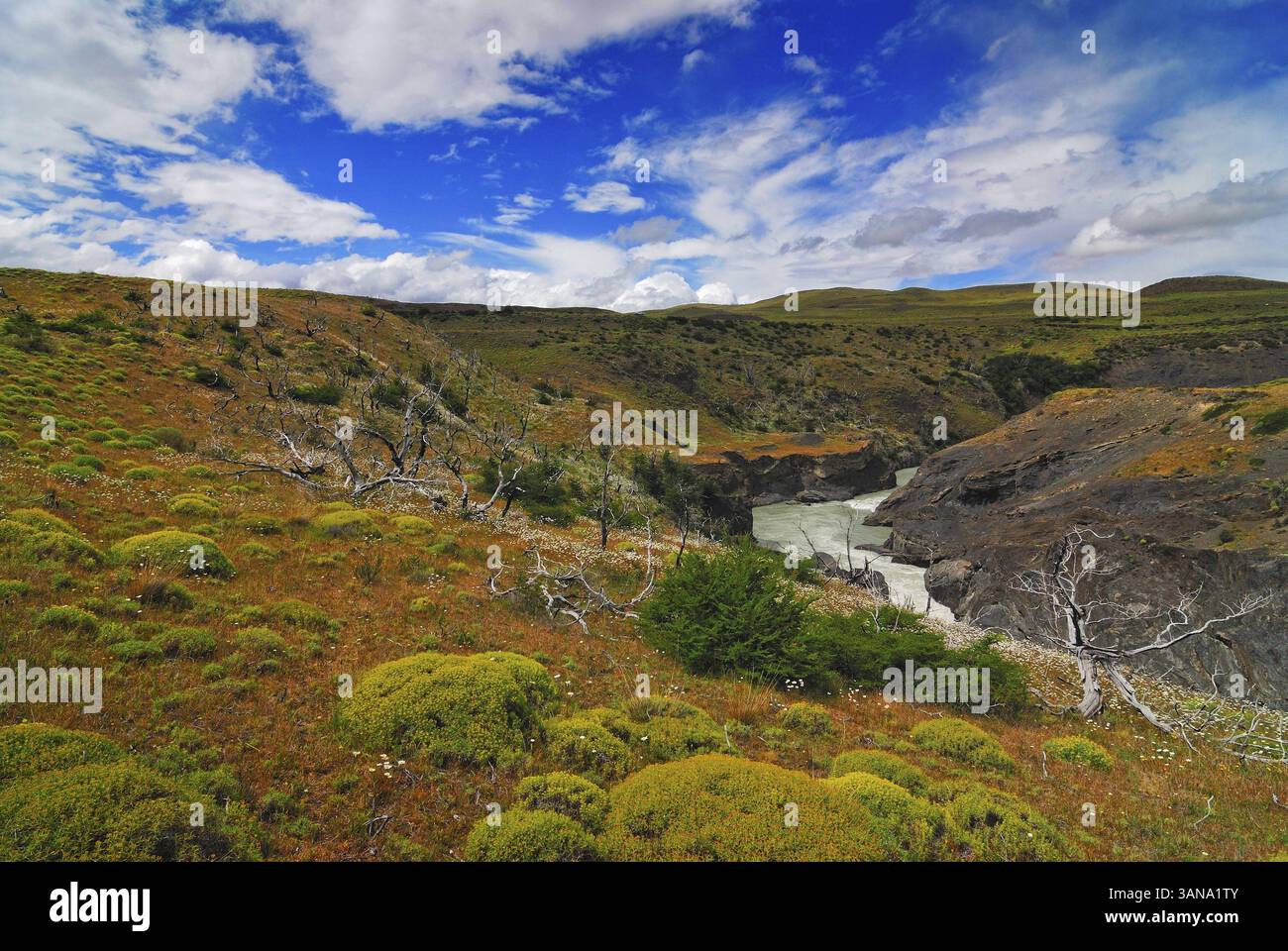 Rio Paine, Torres del Paine in der Nähe von Puerto Natales, Region de Magallanes y de la Antartica Chilena, Chile, Puerto Natales, Chile, Südamerika Stockfoto