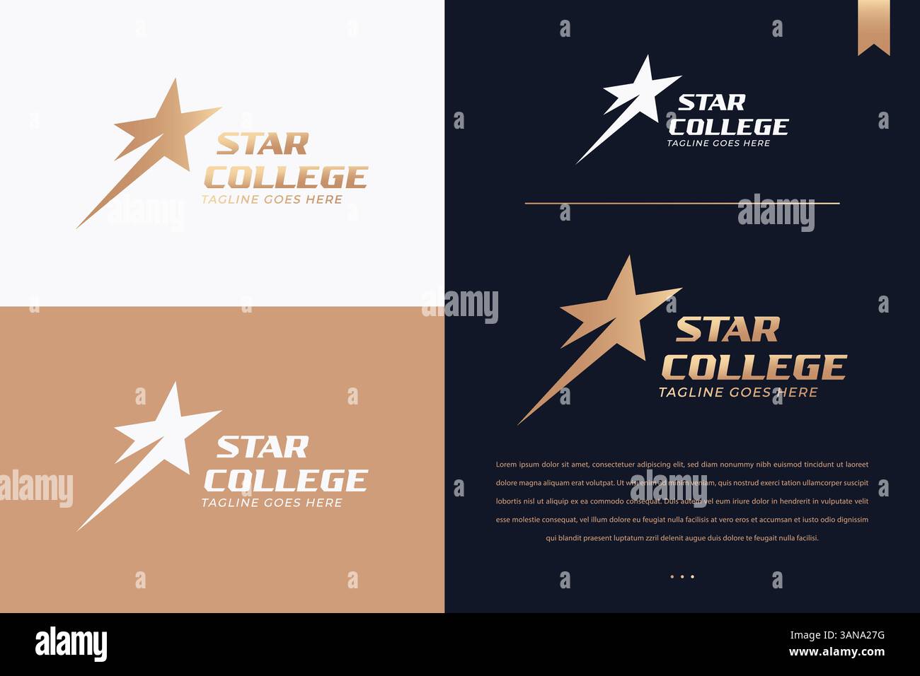 Star Logo Award für Branding Academy und elegantes Zeichen für Prominente Stock Vektor