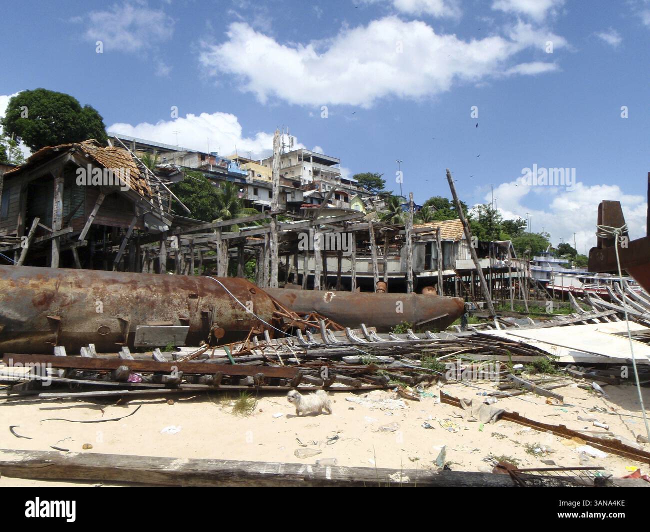 OLYMPUS DIGITALKAMERA Stockfoto