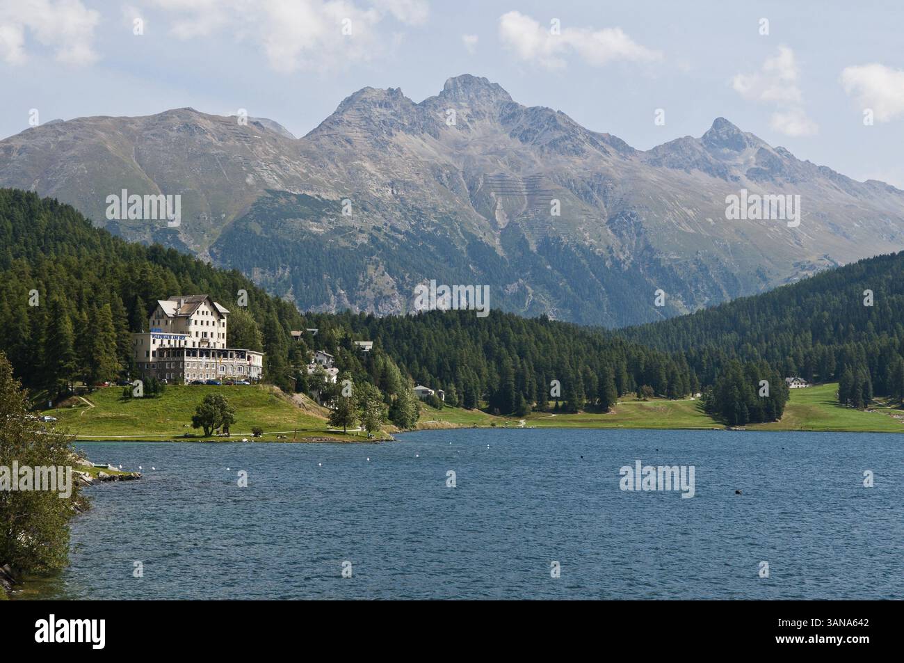 St. Moritz, Celerina, Schweiz Stockfoto