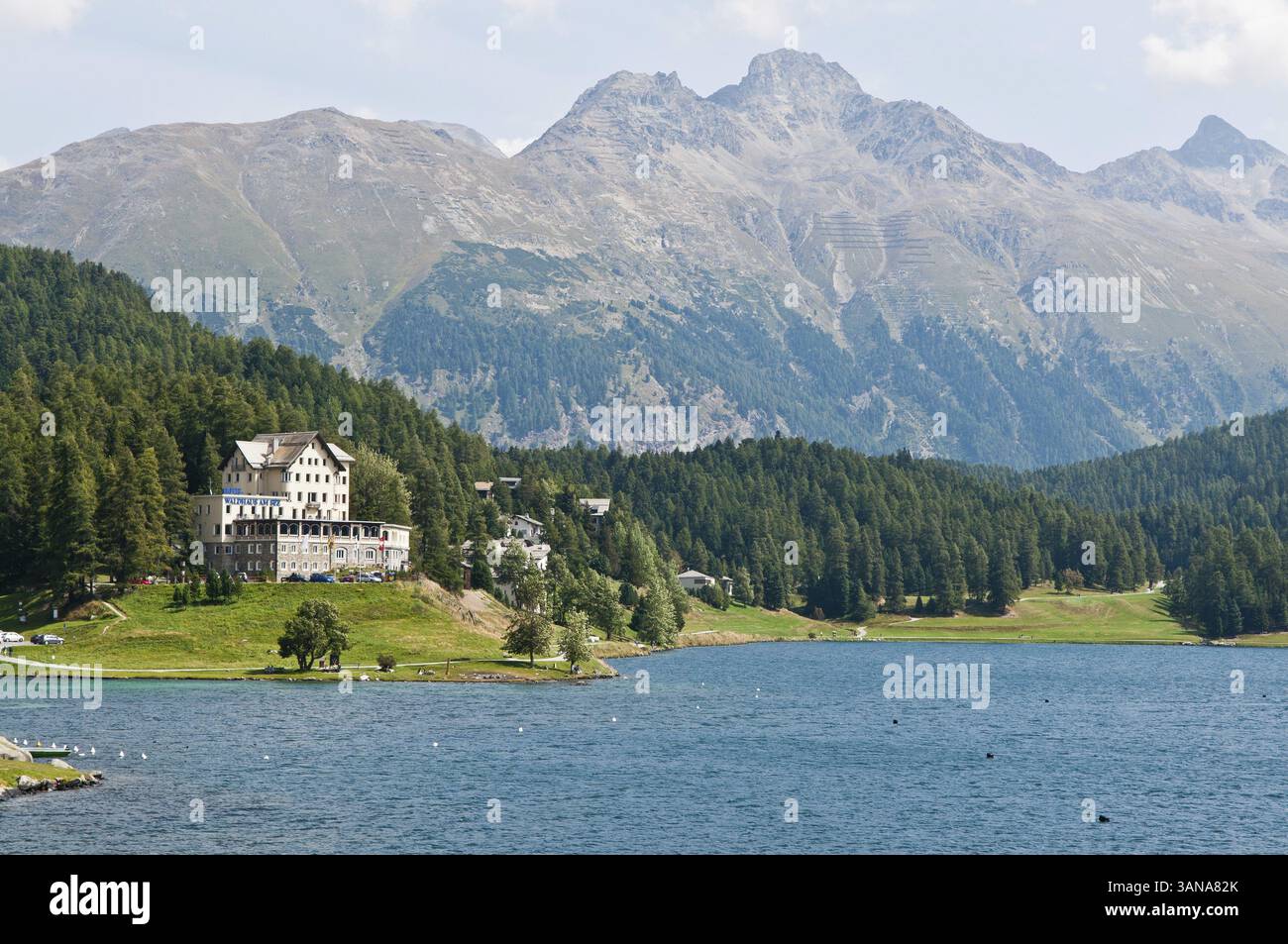 St. Moritz, Celerina, Schweiz Stockfoto