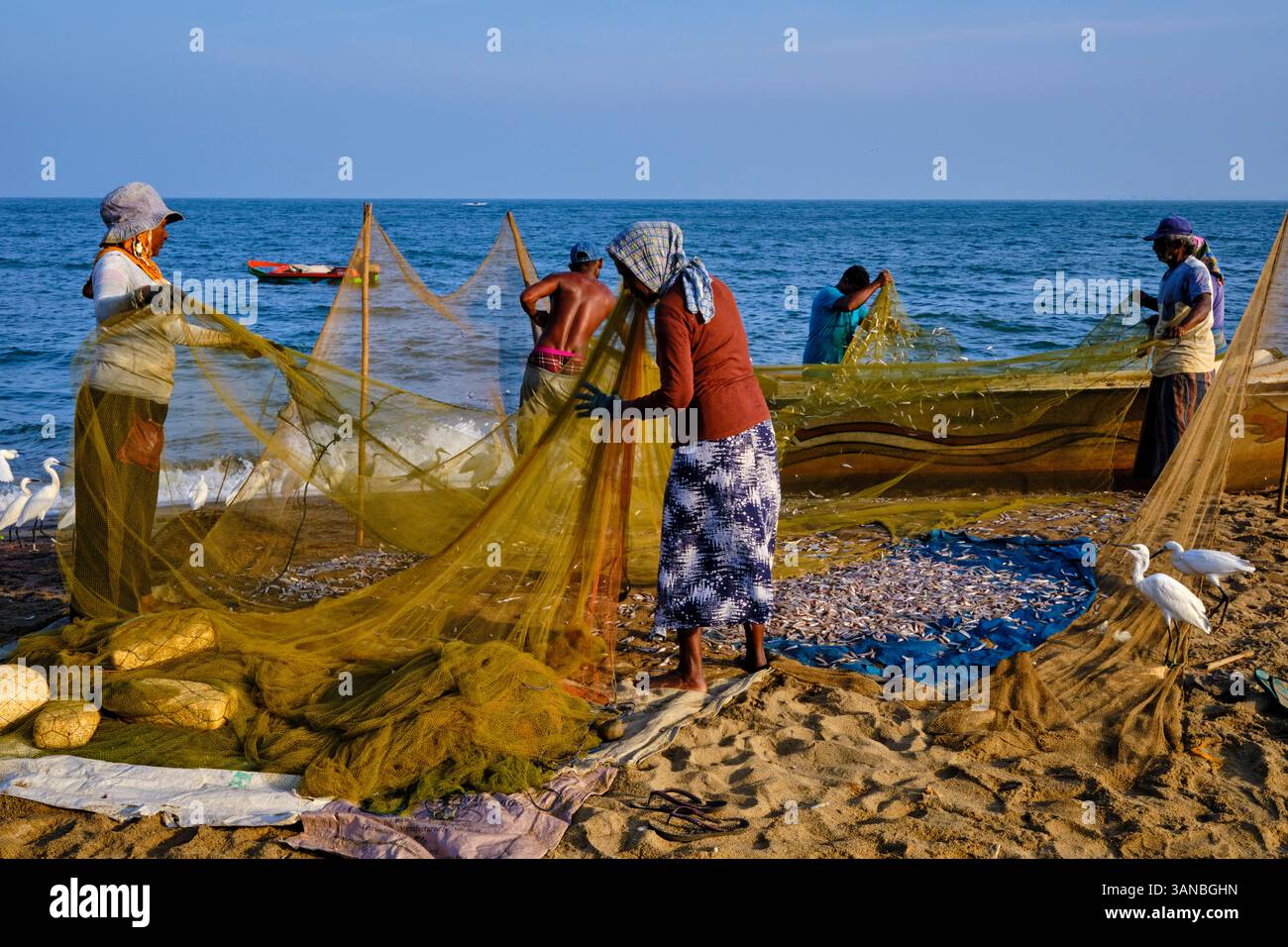 Sri Lanka, Westprovinz, Bezirk Gampaha, Negombo, Fischerdorf, Rückkehr vom Fischen, Sortieren der Fischernetze Stockfoto