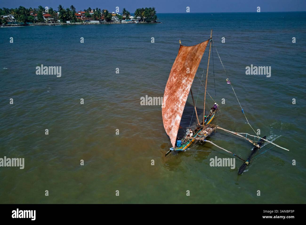 Sri Lanka, Westprovinz, Gampaha District, Negombo, Segelkatamarane, die vom Angeln zurückkehren Stockfoto