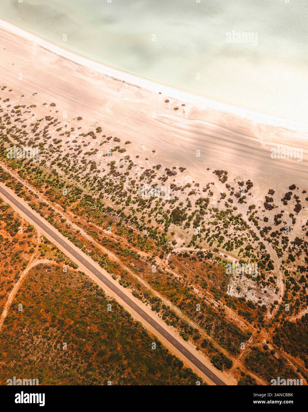 Aus der Vogelperspektive auf Shell Beach mit wunderschönem Sand und türkisfarbenem Meer, Denham, Australien. Stockfoto