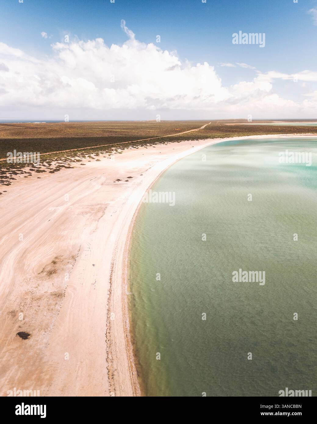 Blick aus der Vogelperspektive auf den wunderschönen Shell Beach mit sandiger Küste und transparentem blauen Ozean, Denham, Australien. Stockfoto