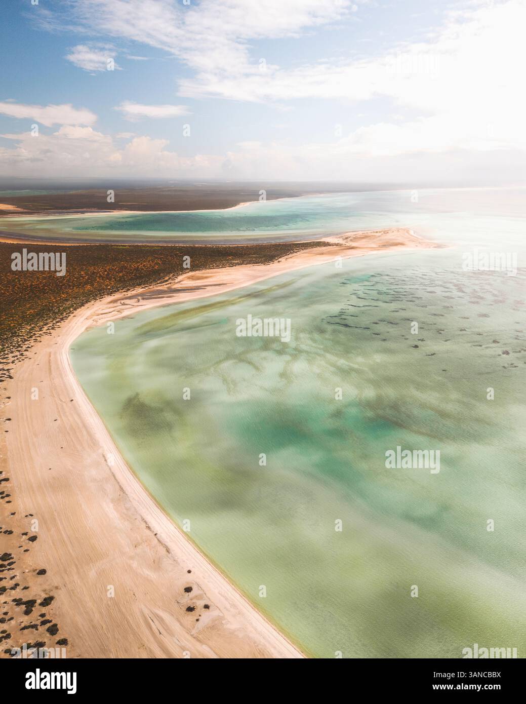 Blick aus der Vogelperspektive auf Shell Beach mit türkisfarbenem klarem Wasser und Sandküste, Shark Bay, Australien. Stockfoto