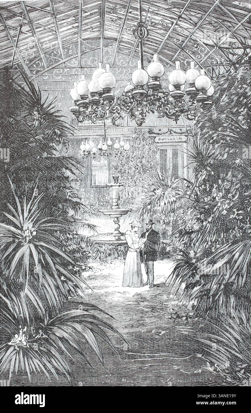 Im Palmenhaus im Kurort Bad Reinerz 1895, heute Duszniki-Zdroj, einer Stadt im Kreis K?odzko in der Woiwodschaft Niederschlesien in Polen, digitale Reproduktion eines Originals aus dem 19. Jahrhundert, historisch Stockfoto