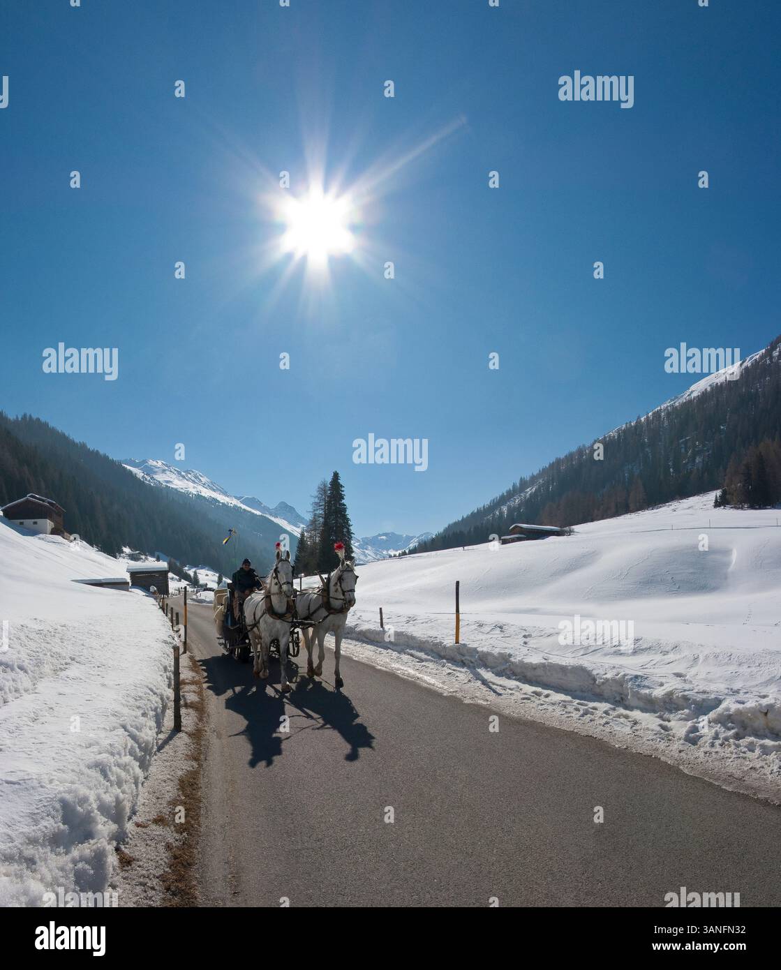 Dischmatal, Davos, Graubünden, Zwitserland, Schweiz, René van der Meer Stockfoto