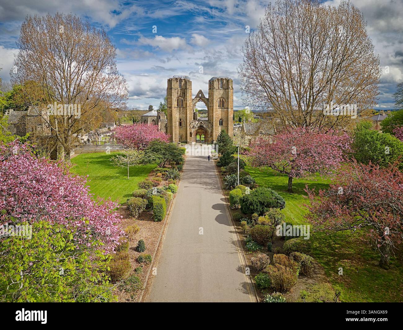Elgin Cathedral Moray Schottland im Frühling und Bäume voller rosafarbener Blüten Stockfoto