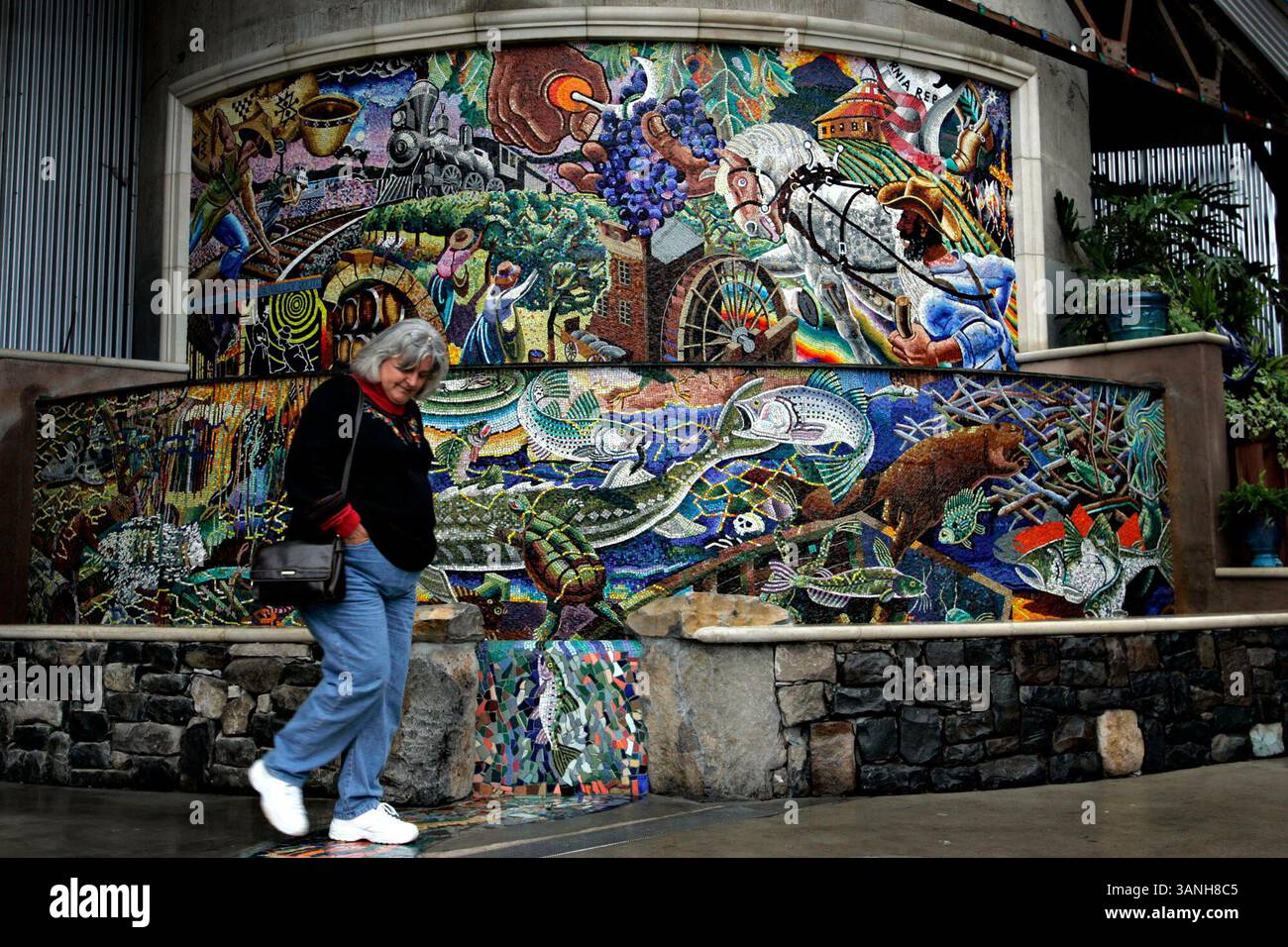DIENSTAG, 29. NOVEMBER 2005 NAPA, CA. - Sharon Sanders von Napa bewundert das neue Brunnenmosaik hinter Napa Mill von Alan Shepp. Sanders, dessen Ehemann Max seit seiner Kindheit den Napa-Fluss fischt, bekam einen Kick aus den verschiedenen Fischarten, die auf dem Wandbild abgebildet sind. Jorgen Gulliksen/Register (Credit Image: © Napa Valley Register/ZUMApress.com) Stockfoto