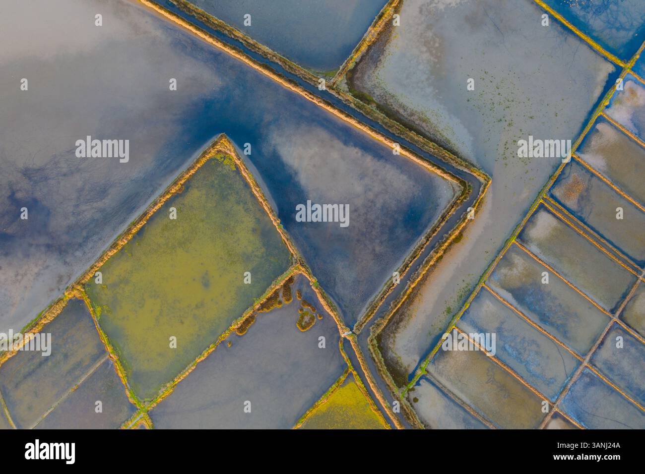 Luftaufnahme der Muster und Farben der Salzdampfteiche während des Sonnenaufgangs in Aveiro, Portugal Stockfoto