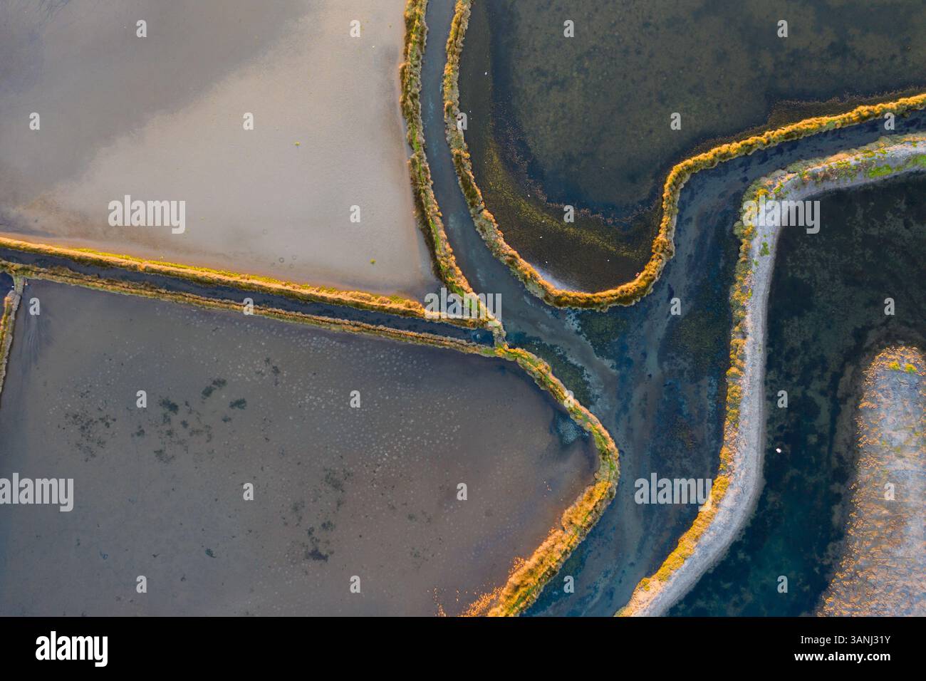 Luftaufnahme der Muster und Farben der Salzdampfteiche während des Sonnenaufgangs in Aveiro, Portugal Stockfoto