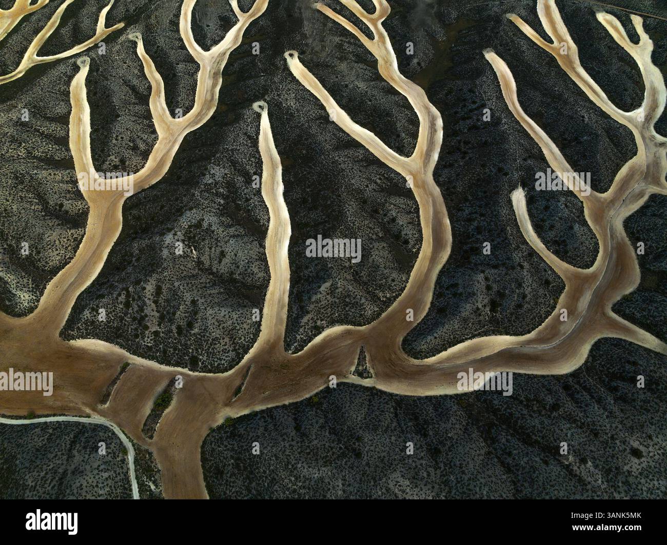 Blick aus der Vogelperspektive auf wunderschöne Bauernhöfe mit einem gewundenen Fluss und lebhaften Mustern, La Cartuja Baja, Saragoza, Spanien. Stockfoto