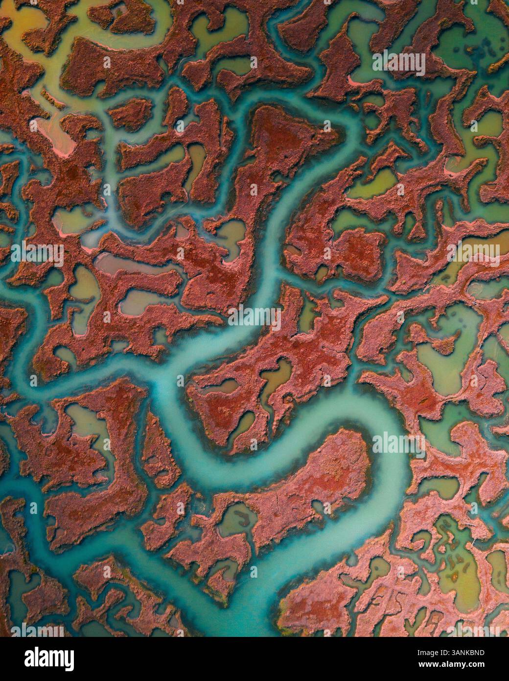 Blick aus der Vogelperspektive auf wunderschöne Sümpfe mit Serpentinen Flussmustern, Essex, Großbritannien. Stockfoto