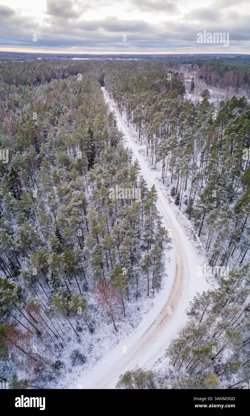 Aus der Vogelperspektive einer leeren, schneebedeckten Straße im Wald in Estland. Stockfoto