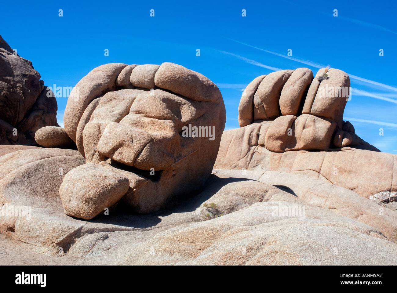 Felsformationen, Joshua Tree National Park, Kalifornien, USA Stockfoto