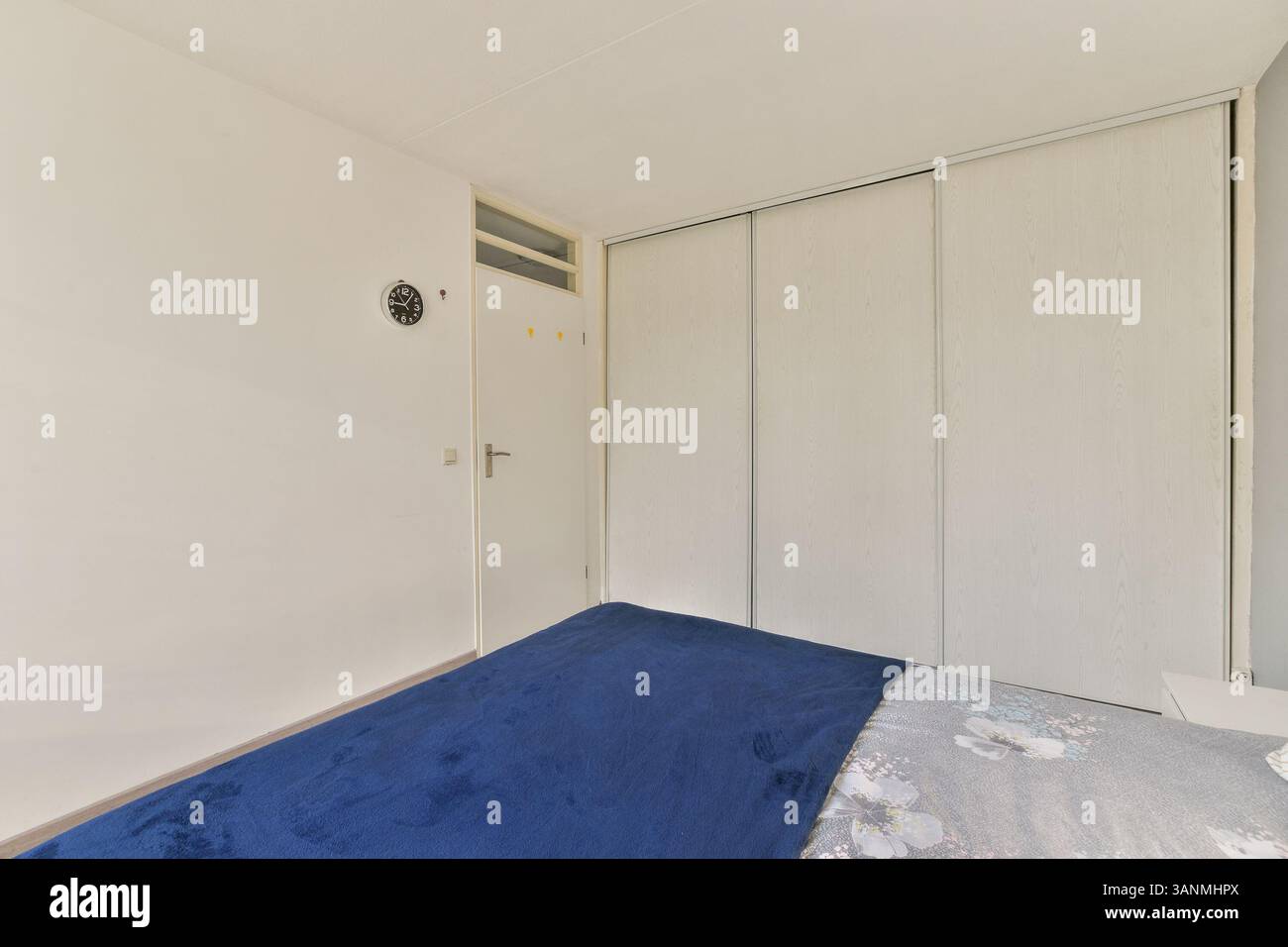 Ein minimalistisches Interieur mit einem einfachen Raum mit blauem Teppich, weißen Wänden und eleganten Aufbewahrungslösungen, die moderne Einfachheit und Funktionalität betonen. Stockfoto