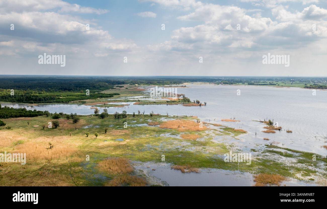 Blick aus der Vogelperspektive auf den ruhigen Turawa-See, umgeben von wunderschönen Feuchtgebieten und üppigem Grün im Frühling, Libawka, Polen. Stockfoto