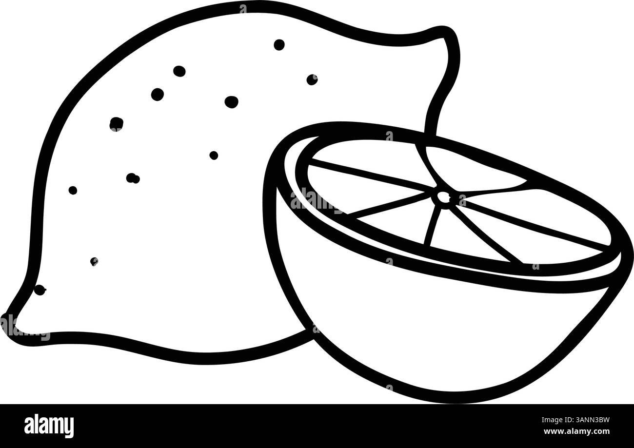 Zitrone, ganze Früchte und halbe Scheibe. Hand gezeichnete Vektor-Kritzelelemente von Zitrus. Schwarz-weiß-Strichgrafik auf weißem Hintergrund. Für das Produkt Stock Vektor