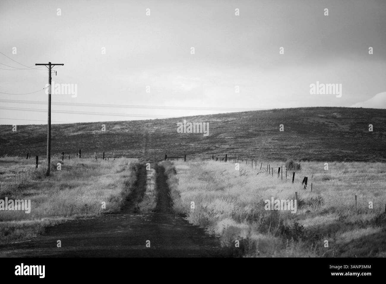5. September 2009 - Moses Lake, Washington, USA - der Sonnenuntergang leuchtet auf einer unbefestigten Straße über sanften Hügeln im Grant County. Bei der Volkszählung 2000 betrug das Pro-Kopf-Einkommen für das County 5.037. Etwa 100 % der Familien und 4011 % der Bevölkerung lagen unterhalb der Armutsgrenze. (Bild: © Mike Kane/zReportage.com/ZUMAPRESS.com) Stockfoto