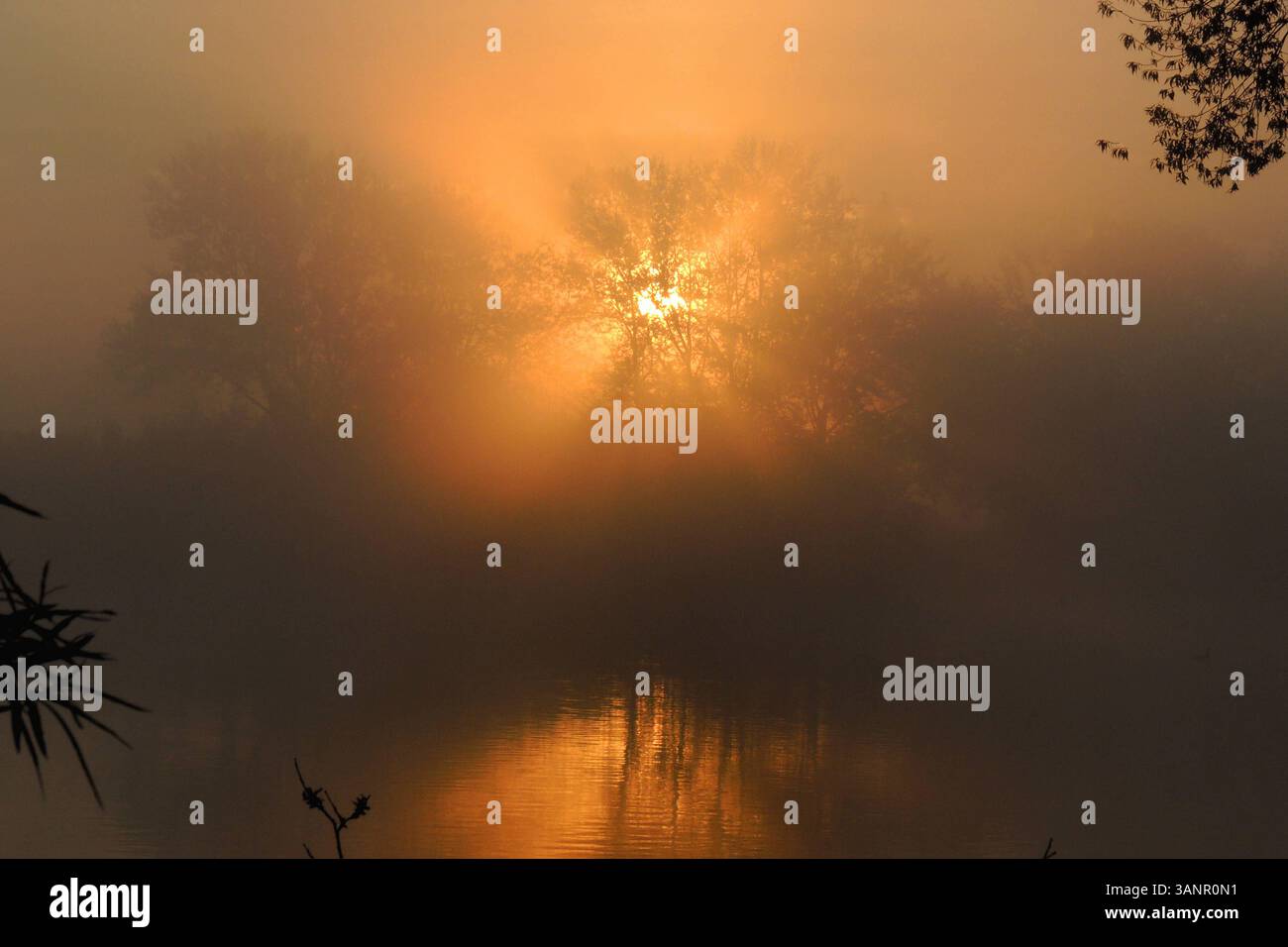 Sonnenaufgang am See Sonnenaufgang Muhr am See Fränkische Seenplatte, Sonnenaufgang *** Sonnenaufgang am See Sonnenaufgang Muhr am See Fränkischer Distri-See Stockfoto