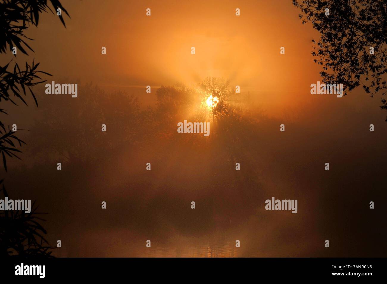 Sonnenaufgang am See Sonnenaufgang Muhr am See Fränkische Seenplatte, Sonnenaufgang *** Sonnenaufgang am See Sonnenaufgang Muhr am See Fränkischer Distri-See Stockfoto