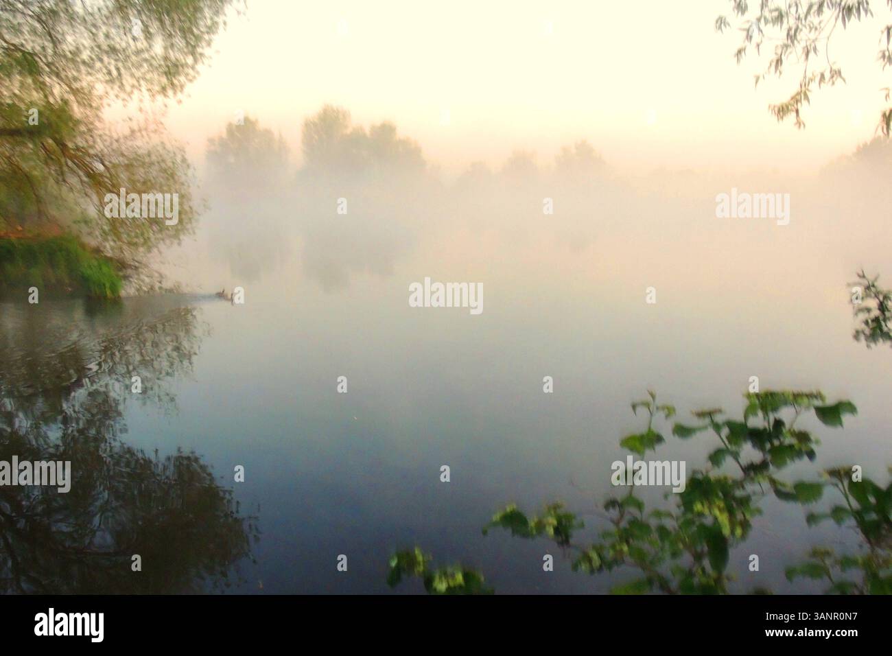 Sonnenaufgang am See Sonnenaufgang Muhr am See Fränkische Seenplatte, Sonnenaufgang *** Sonnenaufgang am See Sonnenaufgang Muhr am See Fränkischer Distri-See Stockfoto